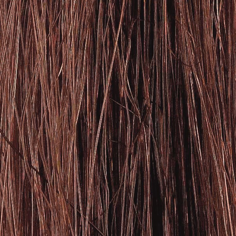 Coquette Extension Cosida Lisa nº4