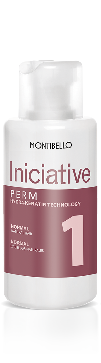 Permanente Iniciative Nº1