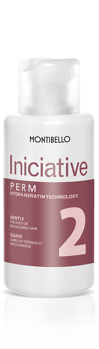Permanente Iniciative Nº2