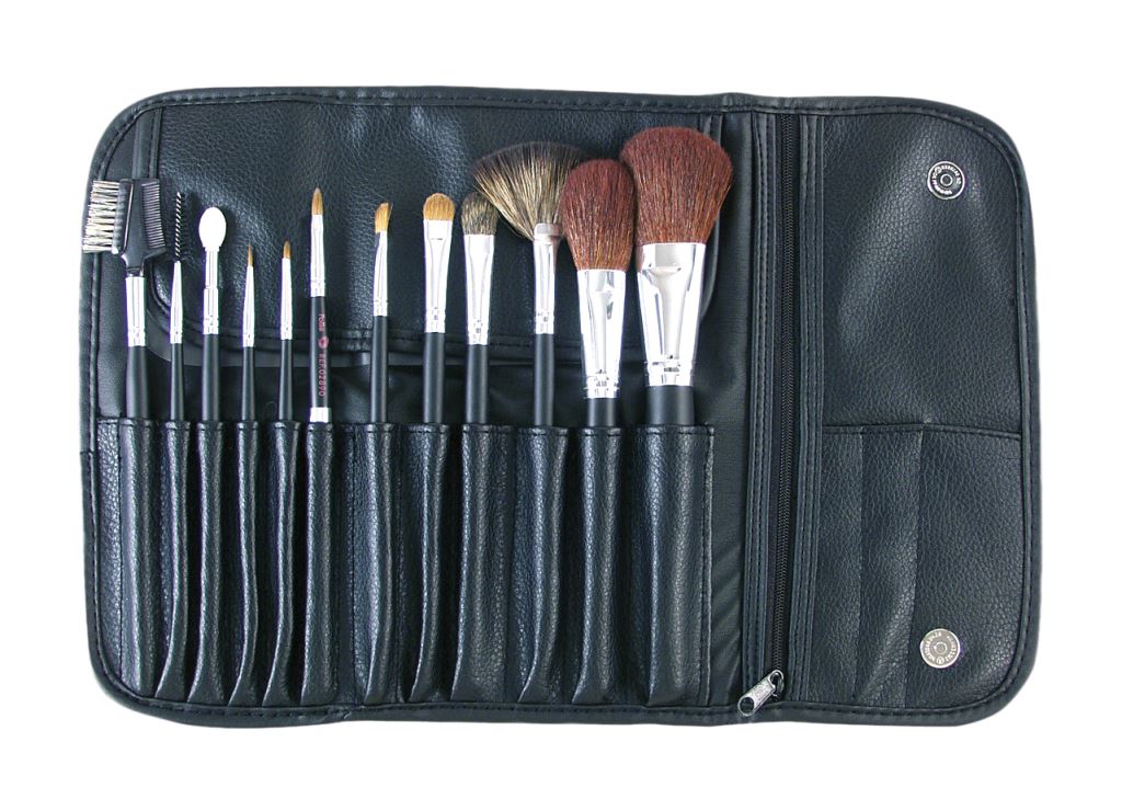 Set 8 Peines Magnéticos Gamma+